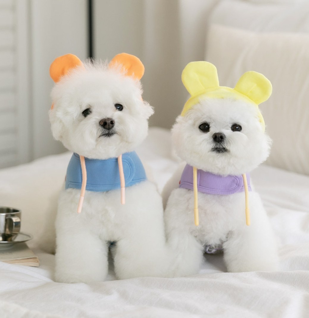 베어 후드 하네스 (곰 귀 모자 탈부착)
